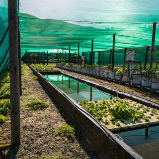 An aquaponics facility