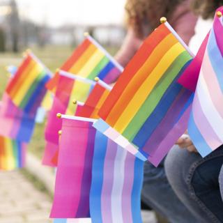 A closeup of multiple trans and pride flags.