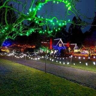 Green, blue and red holiday lights twinkle and glow on Milner House and trees and shrubs.