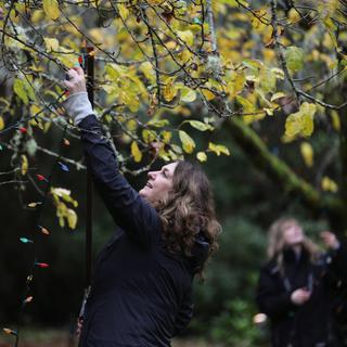 A volunteer strings up lights at Milner Gardens