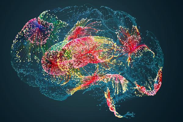 A picture of a brain lit up with different colours