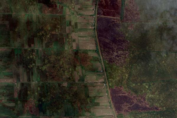 Burn scars on peatlands in Central Kalimantan province, Indonesia. 