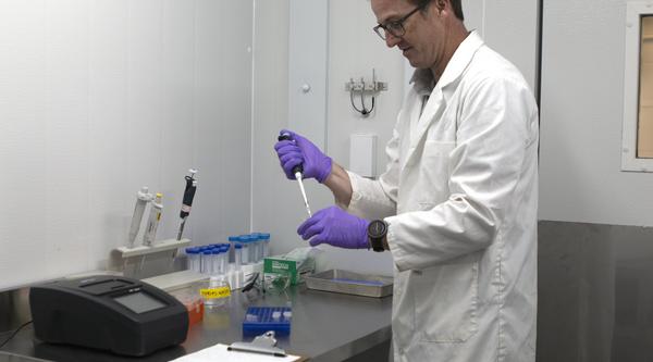 Dr. Spencer Russell works in the Centre for Innovation in Fish Health.