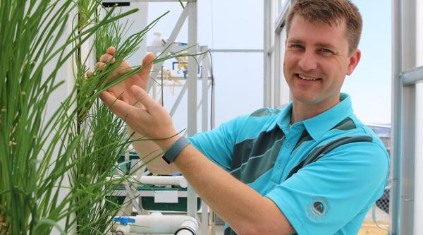 Dr. Dan Baker a VIU Fisheries and Aquaculture Professor, examines some of the produce growing in the aquaponics greenhouse. 