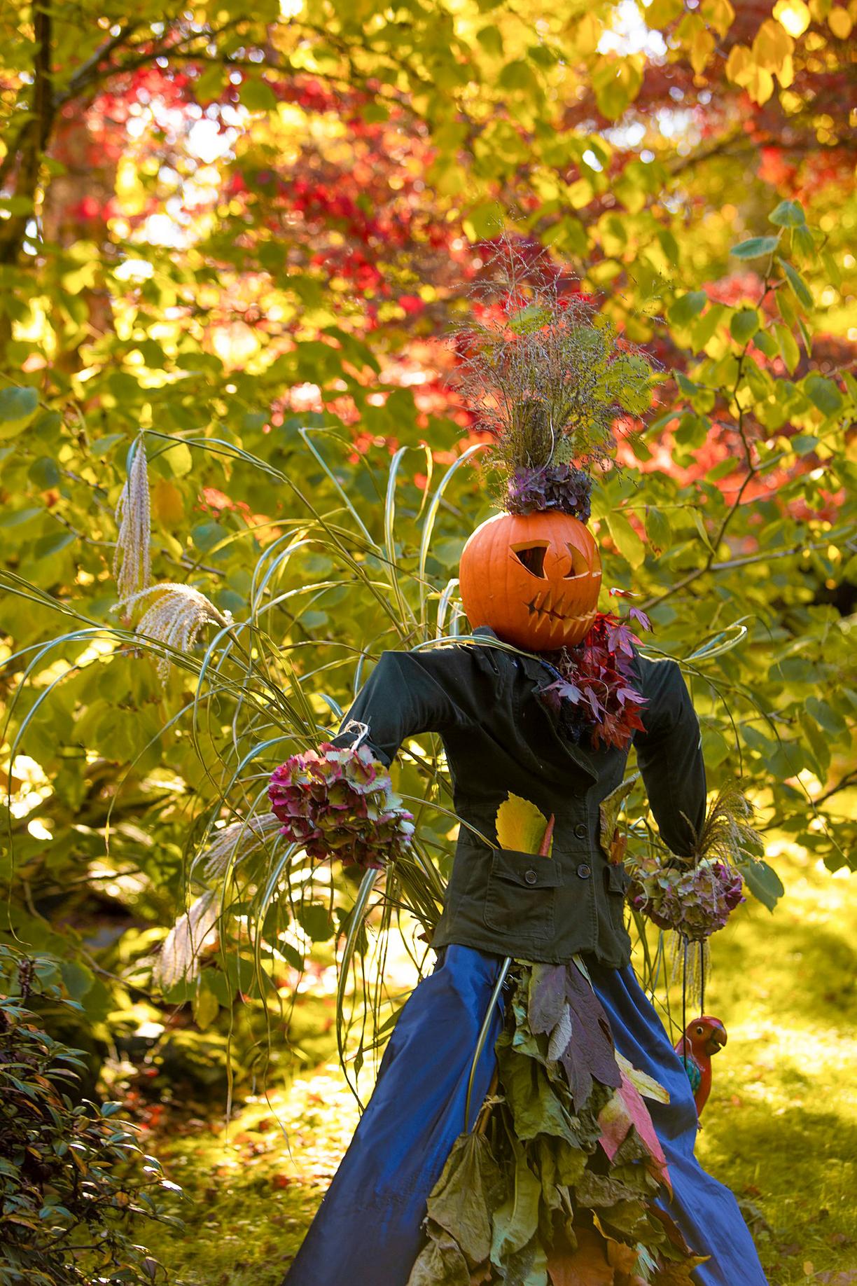 A scarecrow with a pumpkin for a hand and flower bouquets for hands is nestled among trees.