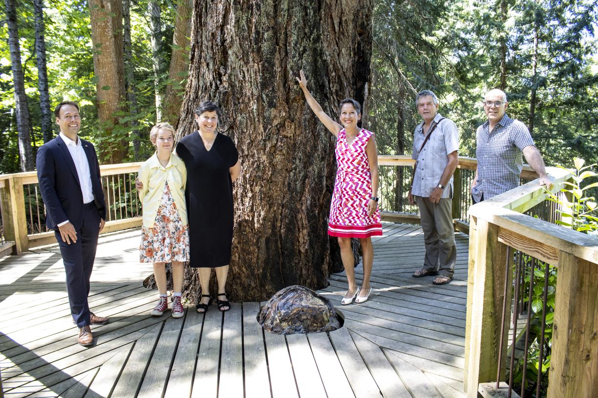 Five people stand around a tree at Milner Gardens & Woodland.