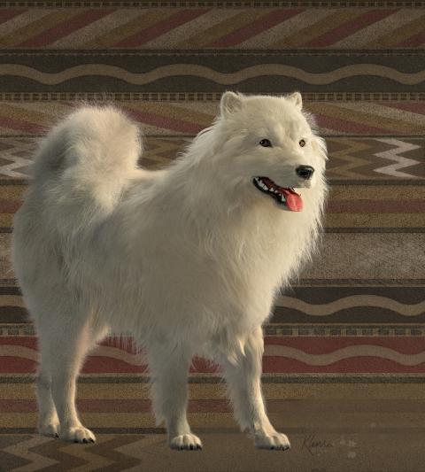 The reconstructed woolly dog stands against a stylized background of a Coast Salish weaving motif from a historic dog-wool blanket. The portrayal of the weaving motif was designed under advisement of the studyâs Coast Salish advisory group. 