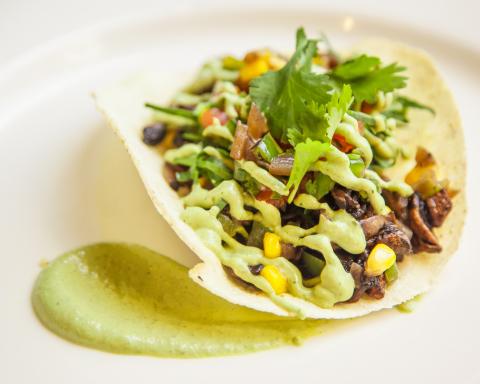 Mushroom street tacos with cilantro sauce. Photo credit: Humane Society International/Canada. VIU Culinary Arts mixing it up at plant-based foods training event.