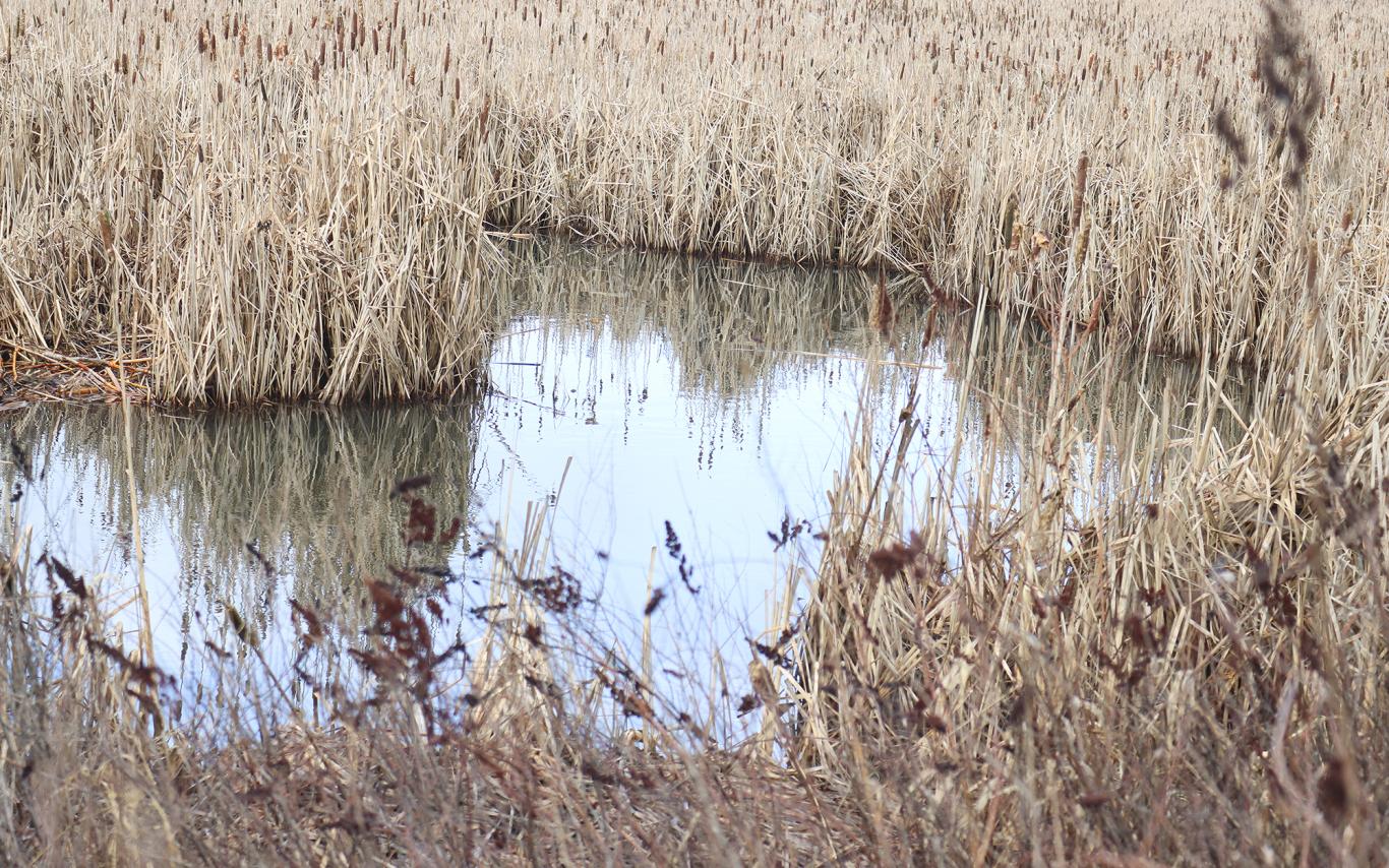 Buttertubs Marsh.