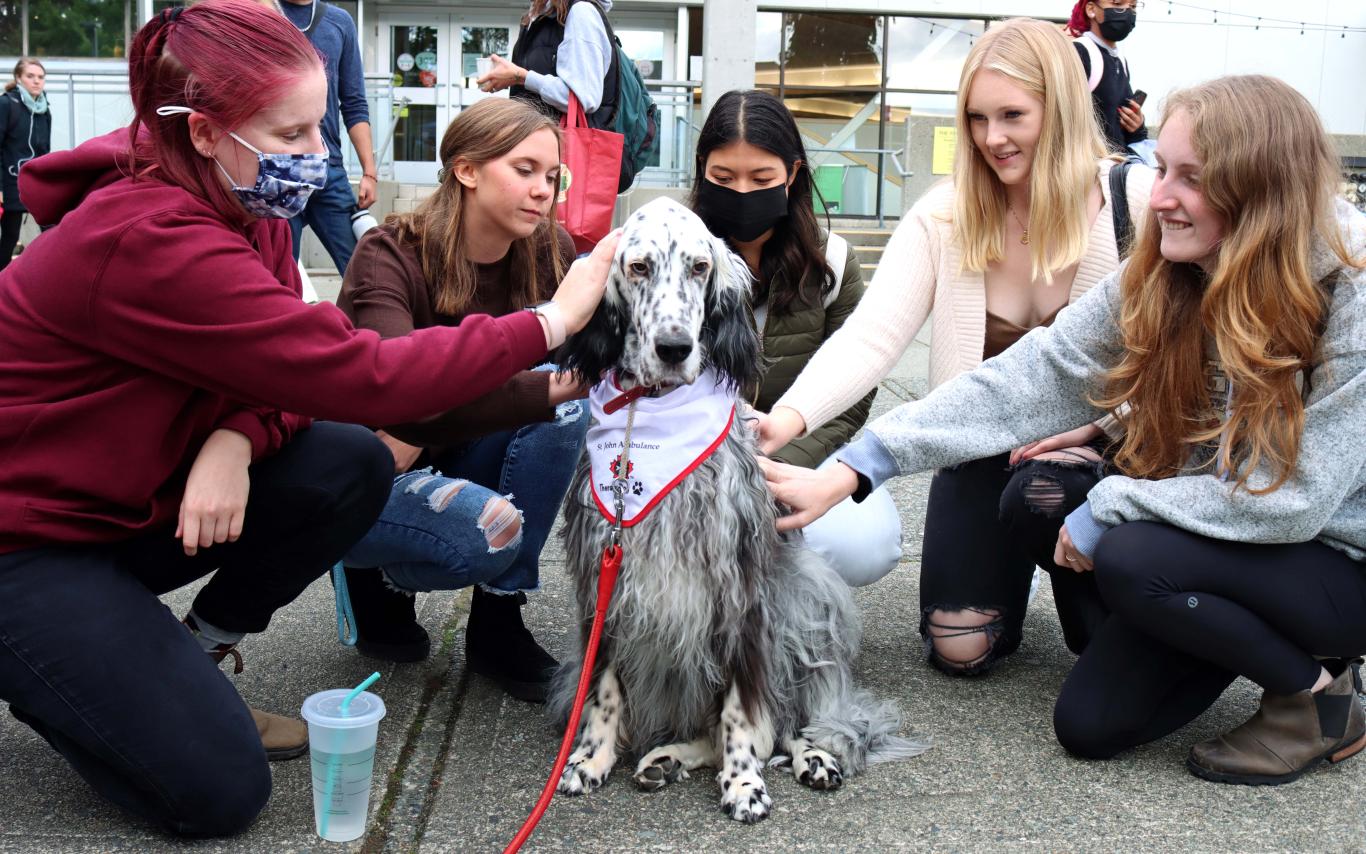 Students petting a therapy dog