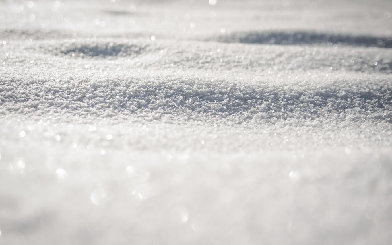 A closeup of snow with the sun shining on it.
